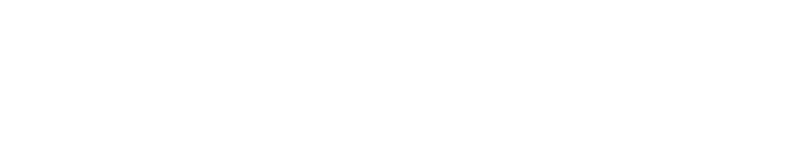 dilinear logo w